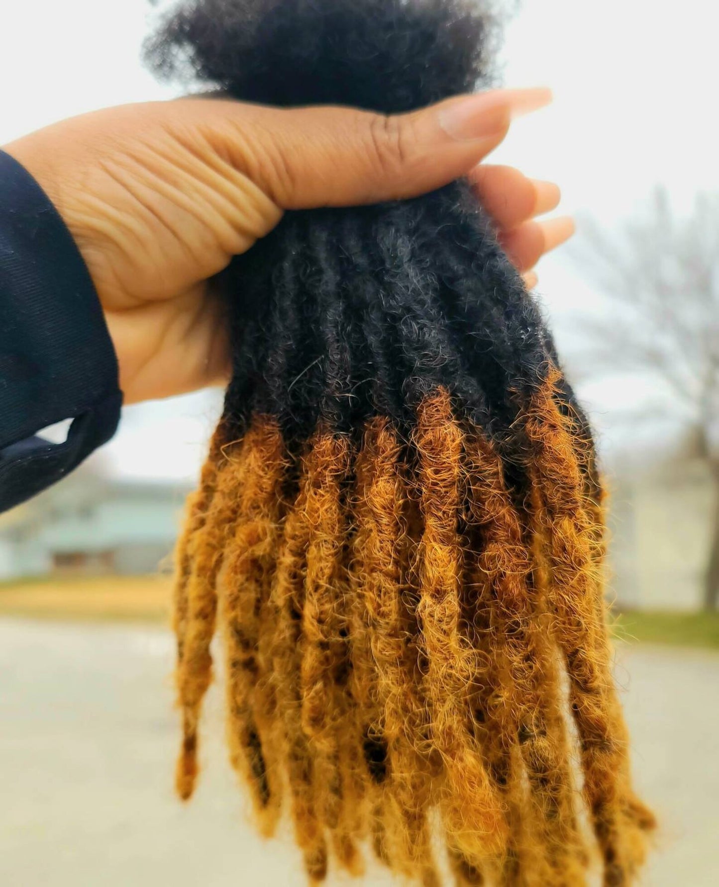 Interloc Dreadloc Extensions 100% Human Hair Interlocked locs 10 locs Per Bundle Textured Honey Blonde Tips